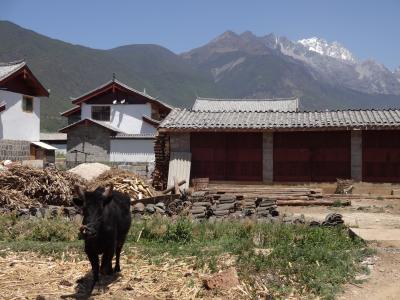 Das Dorf Baisha bei Lijiang